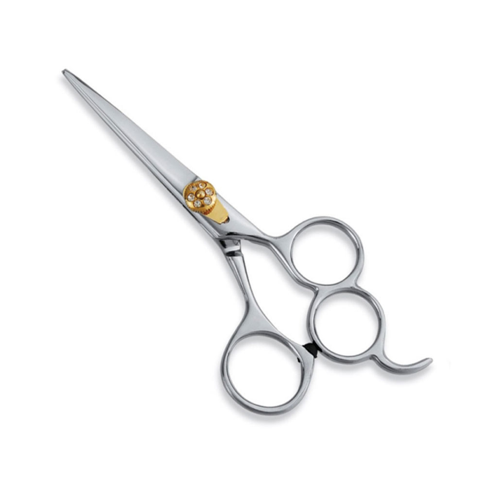 Professional Hair Cutting Scissors Hair Beauty Shears