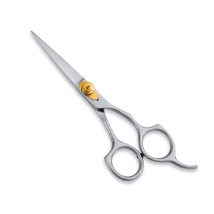 Titanium Coated Hair Scissor Hair Dressing Cutting Scissors